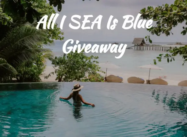 Win A $1,000 Prize Package In The Skyroam All I See Is Blue Giveaway