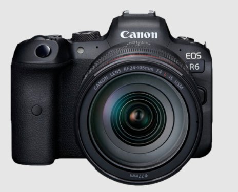 Win A Canon EOS R6 Camera In The Canon Wildlife Photography Sweepstakes