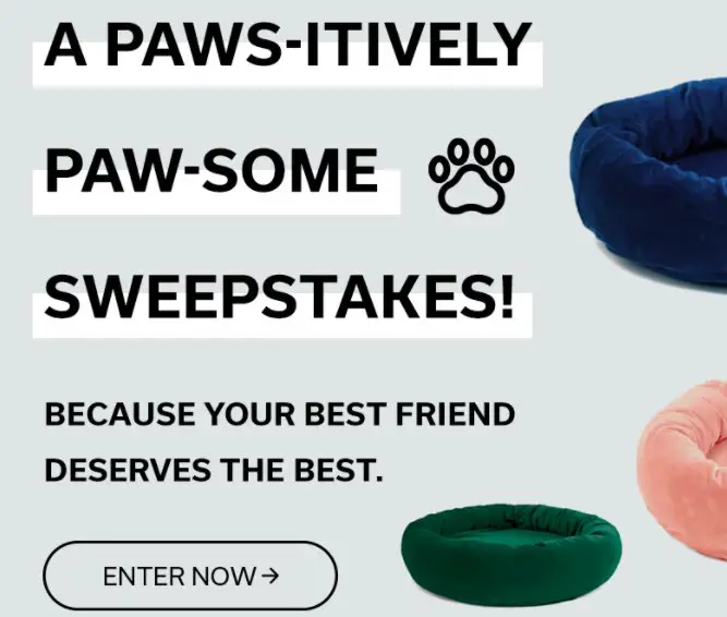 Win A Dog Bed, Gift Cards And More In APT2B's A Pawsitively Pawsome Sweepstakes