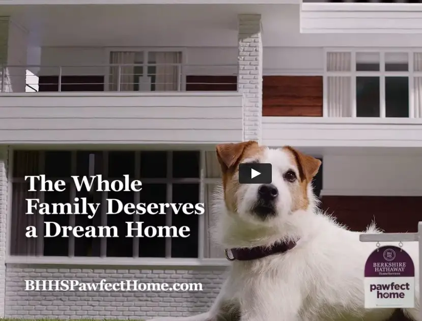 Win A Pet-Sized Version Of Your Home In The Pawfect Home Sweepstakes