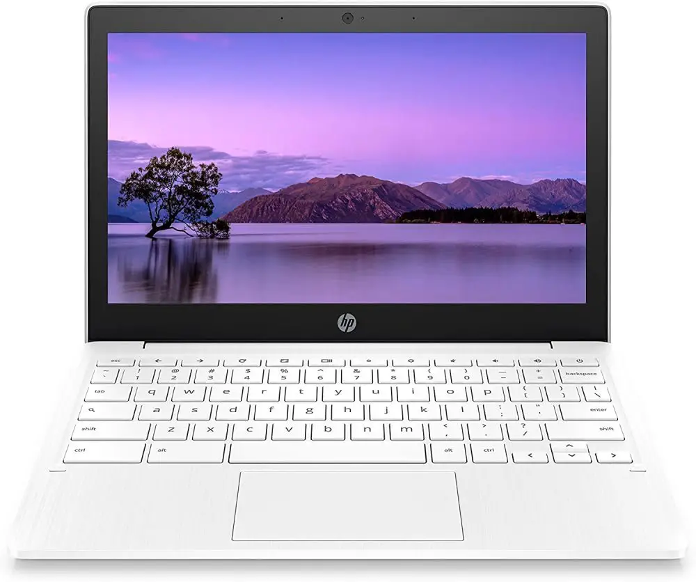 Win An 11-Inch Laptop In The Steamy Kitchen's Bloom Big HP Chromebook Laptop Giveaway