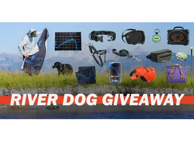 Wingo Outdoors River Dog Giveaway - Win Outdoor Pet Care Products & More